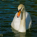 Christina Swan Photo 13