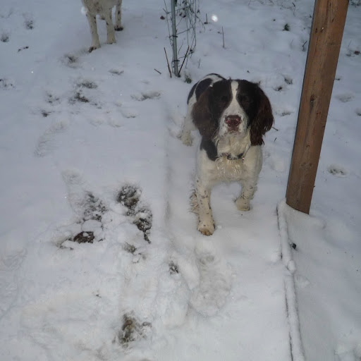Frances Hammond Photo 6