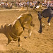 Stace Larson Photo 6