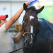 Rachel Combs Photo 14