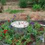 Nancy Arnett Photo 18