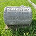 Virginia Stump Photo 11