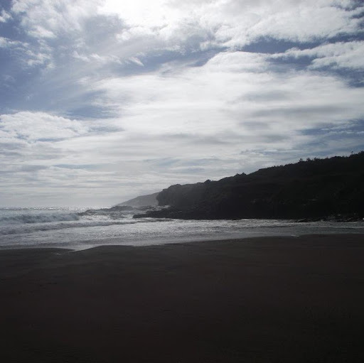 Martha Brewer Photo 32
