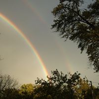 Joann Weber Photo 33