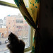 Kimberly Noa Photo 5