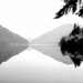 Serenity King Photo 6