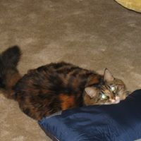 Norma Kay Photo 5