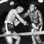 Vernon Jenkins Photo 27