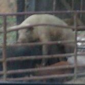 Curtis Moore Photo 20