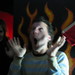 Chris Robillard Photo 12