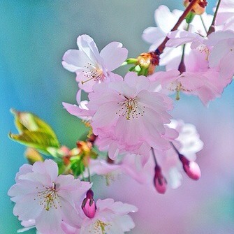 Gail Berman Photo 26