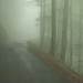 Roland Moll Photo 8