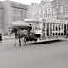 Douglas Manning Photo 18