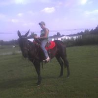 Michelle Crabtree Photo 17