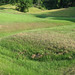 Alvin Carr Photo 8