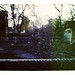 Fred Singleton Photo 12