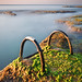 David Singh Photo 25