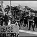 Jean Cheney Photo 17