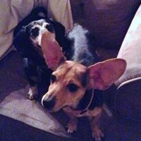 Debra Duffy Photo 12