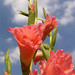 Ryan Peach Photo 24
