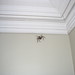 Michael Huntsman Photo 11