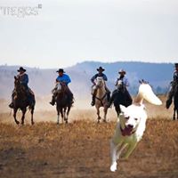 Kevin Cogle Photo 5