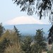 Helen Tabor Photo 18