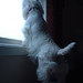 Delilah Winters Photo 13