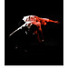 Nicholas Cooke Photo 34