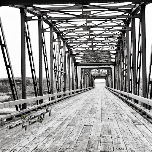 Lisa Peters Photo 62