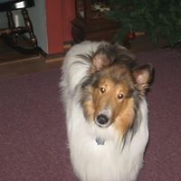 Laura Mick Photo 7