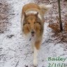 Cynthia Crowe Photo 18