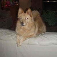 Teresa Meadows Photo 25
