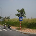 Thanh Lau Photo 9