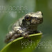 Keith Jacobs Photo 30