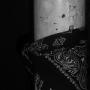 Luis Arevalo Photo 28