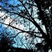 Rachel Mccabe Photo 14