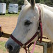 Terry Howes Photo 15