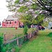 Shelley Murray Photo 15