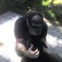 Michael Fenton Photo 19