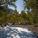Jeff Lundy Photo 14