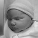 Amanda Reese Photo 4