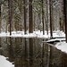 Harold Winters Photo 12
