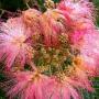 Linda Holmes Photo 23