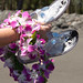 Diane Burke Photo 13