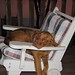Jeffery Power Photo 11