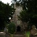 Augustine Martin Photo 11