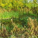 Gary Heath Photo 14
