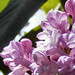 Deborah Morel Photo 17