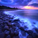 Garry Long Photo 28